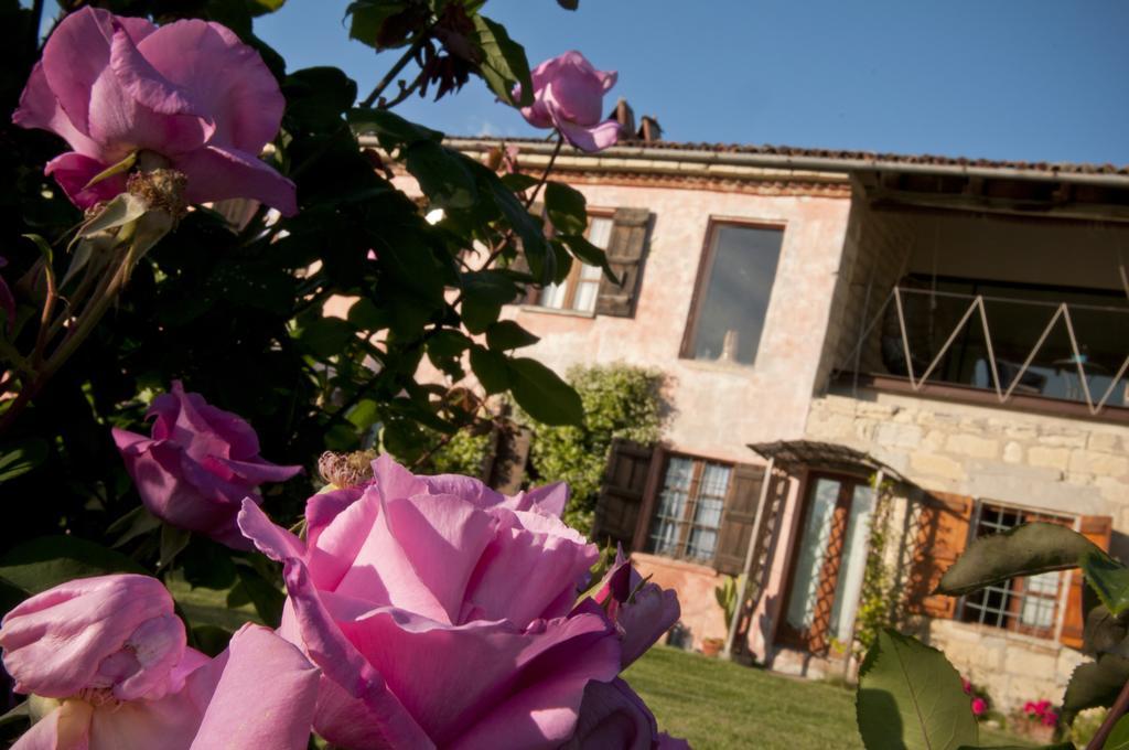Cascina Rosa B&B Grazzano Badoglio Bagian luar foto